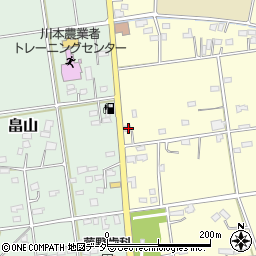 埼玉県深谷市本田110周辺の地図