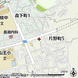 岐阜県高山市片野町5丁目251周辺の地図