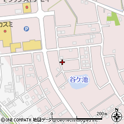 埼玉県加須市北下新井146-3周辺の地図