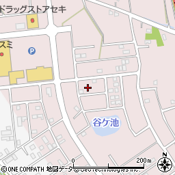 埼玉県加須市北下新井148周辺の地図
