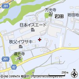 埼玉県秩父郡長瀞町岩田799周辺の地図