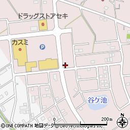 埼玉県加須市北下新井126周辺の地図