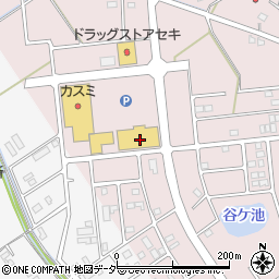 埼玉県加須市北下新井105-1周辺の地図