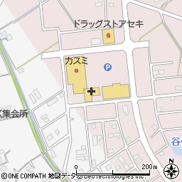埼玉県加須市北下新井95周辺の地図