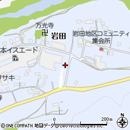 埼玉県秩父郡長瀞町岩田893周辺の地図