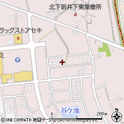 埼玉県加須市北下新井117周辺の地図