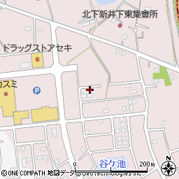 埼玉県加須市北下新井113周辺の地図