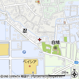 埼玉県行田市忍969周辺の地図