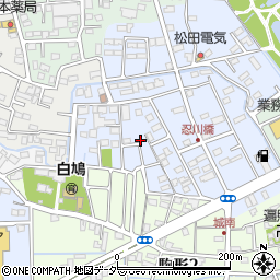 埼玉県行田市城南周辺の地図