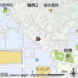 埼玉県行田市忍6529周辺の地図