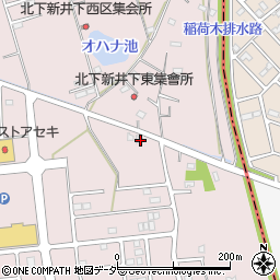 埼玉県加須市北下新井1951周辺の地図