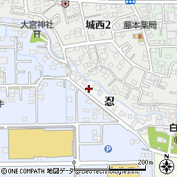 埼玉県行田市忍984周辺の地図
