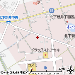 埼玉県加須市北下新井19周辺の地図
