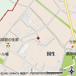 茨城県常総市国生1167-8周辺の地図