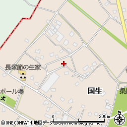 茨城県常総市国生1167-5周辺の地図