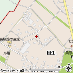 茨城県常総市国生1167-6周辺の地図