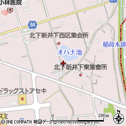 埼玉県加須市北下新井257-3周辺の地図