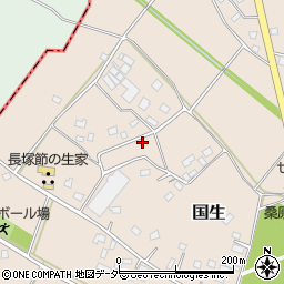 茨城県常総市国生1167-3周辺の地図