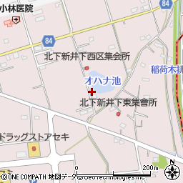埼玉県加須市北下新井257周辺の地図