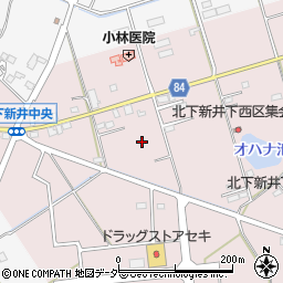 埼玉県加須市北下新井303周辺の地図