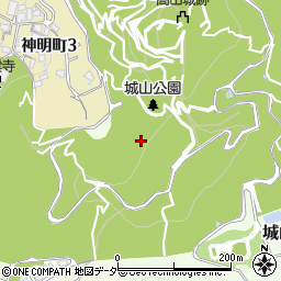 岐阜県高山市城山周辺の地図