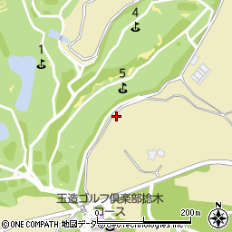 茨城県行方市捻木741周辺の地図