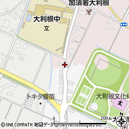 埼玉県加須市北下新井2056-1周辺の地図