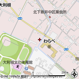 埼玉県加須市北下新井674周辺の地図