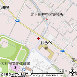 埼玉県加須市北下新井676周辺の地図