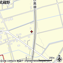 埼玉県深谷市武蔵野869周辺の地図