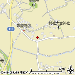 茨城県行方市芹沢457-2周辺の地図