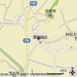 茨城県行方市芹沢487周辺の地図