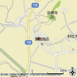 茨城県行方市芹沢488周辺の地図