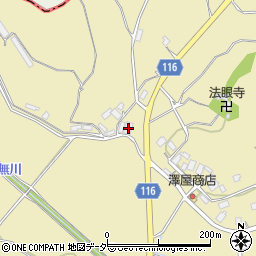茨城県行方市芹沢236-1周辺の地図