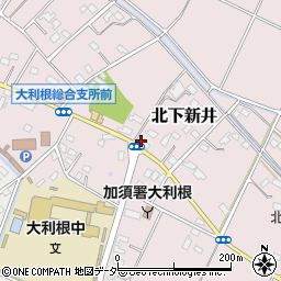 埼玉県加須市北下新井793周辺の地図