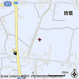 茨城県下妻市皆葉58周辺の地図