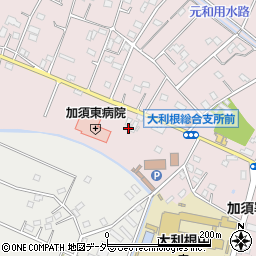 埼玉県加須市北下新井1666周辺の地図