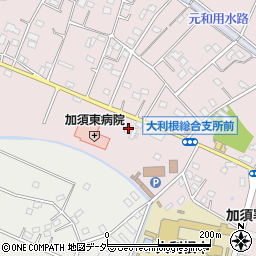 埼玉県加須市北下新井1667周辺の地図