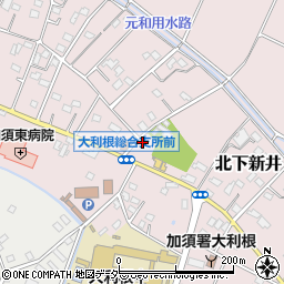 埼玉県加須市北下新井799周辺の地図