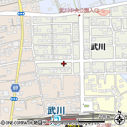 埼玉県深谷市武川104周辺の地図