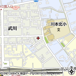 埼玉県深谷市武川294周辺の地図