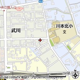 埼玉県深谷市武川293周辺の地図