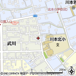 埼玉県深谷市武川231周辺の地図