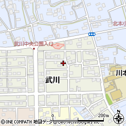 埼玉県深谷市武川170周辺の地図