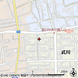 埼玉県深谷市武川22周辺の地図