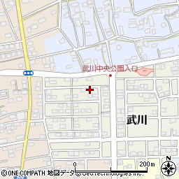 埼玉県深谷市武川24周辺の地図