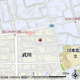 埼玉県深谷市武川192周辺の地図