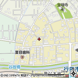 埼玉県行田市栄町4-29周辺の地図