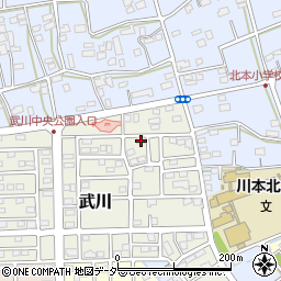 埼玉県深谷市武川191周辺の地図