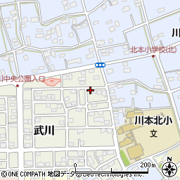 埼玉県深谷市武川212周辺の地図